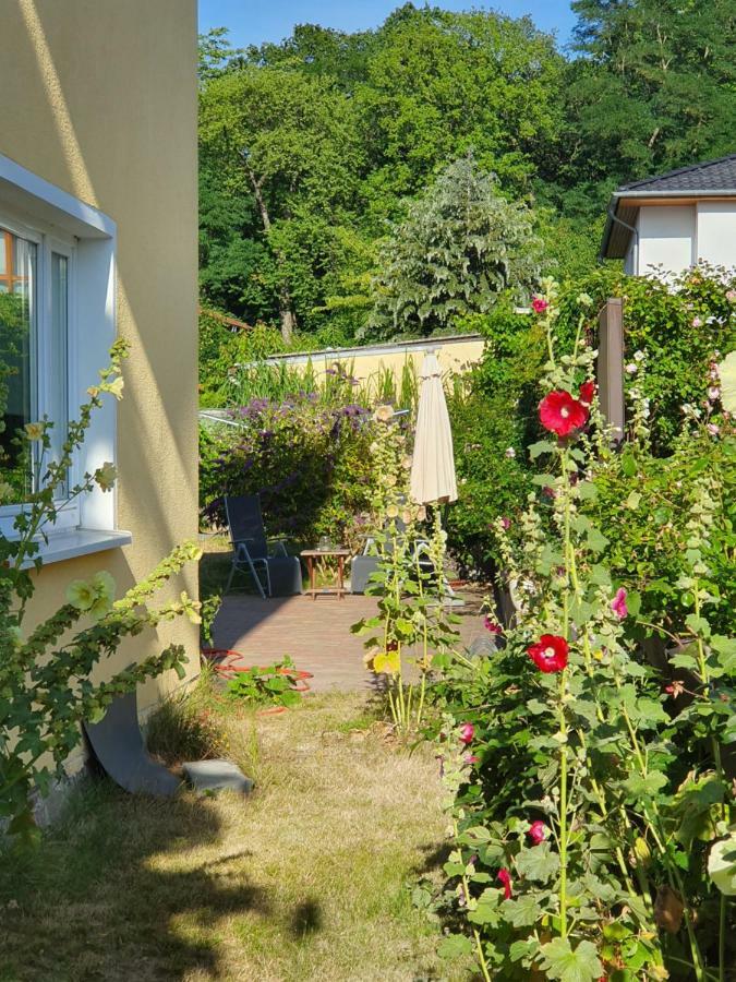 Ferienwohnung Paul ซินโนวิทซ์ ภายนอก รูปภาพ